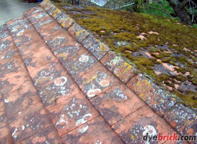 Roof After Scraping